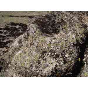 Click para ampliar. Pulsa en el nombre para ver la ficha. Ulaca - Conjunto Lítico - Elemento 2 ¿Pileta tallada? Vista lateral