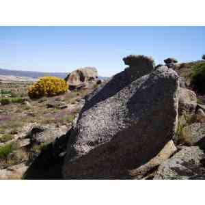 Click para ampliar. Pulsa en el nombre para ver la ficha. Ulaca - Conjunto Lítico - Elemento en el canchal