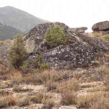 Click para ampliar. Pulsa en el nombre para ver la ficha. La Nava -