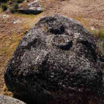 Click para ampliar. Pulsa en el nombre para ver la ficha. Medinilla -