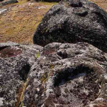 Click para ampliar. Pulsa en el nombre para ver la ficha. Medinilla -