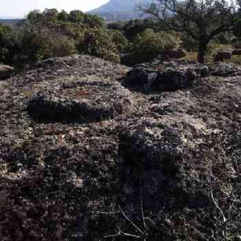 Click para ampliar. Pulsa en el nombre para ver la ficha. Medinilla -
