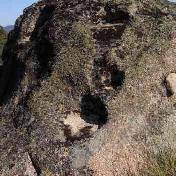 Click para ampliar. Pulsa en el nombre para ver la ficha. Medinilla -