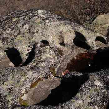 Click para ampliar. Pulsa en el nombre para ver la ficha. Abrigo cubierto -