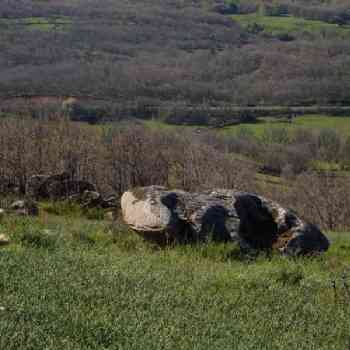 Click para ampliar. Pulsa en el nombre para ver la ficha. Chozo de Neila - Foto 31