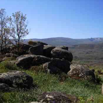 Click para ampliar. Pulsa en el nombre para ver la ficha. Chozo de Neila - Foto 14
Vita posterior II