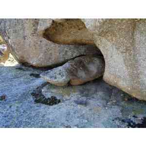 Click para ampliar. Pulsa en el nombre para ver la ficha. Ulaca - Conjunto Lítico - Piedra entre los elementos 3 y 4