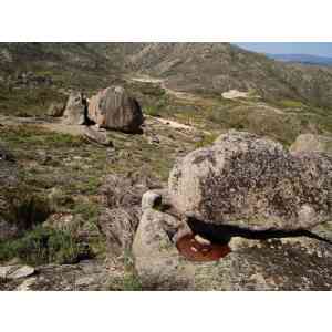 Click para ampliar. Pulsa en el nombre para ver la ficha. Ulaca - Conjunto Lítico y Elemento 5 - Doble pileta