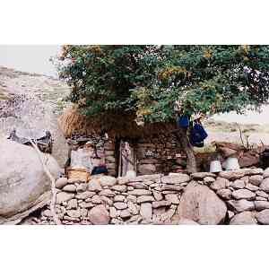 Click para ampliar. Pulsa en el nombre para ver la ficha. Chozo . Vista frontal