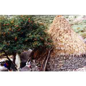 Click para ampliar. Pulsa en el nombre para ver la ficha. Chozo Vettón. Vista lateral