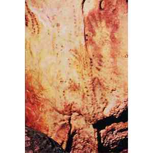 Click para ampliar. Pulsa en el nombre para ver la ficha. Cueva de Maltravieso, en Cáceres.