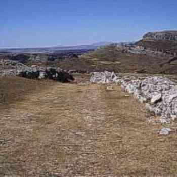 Click para ampliar. Pulsa en el nombre para ver la ficha. Amaya. Entrada