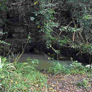Click para ampliar. Pulsa en el nombre para ver la ficha. Güeyu de Deva, nacimiento del río