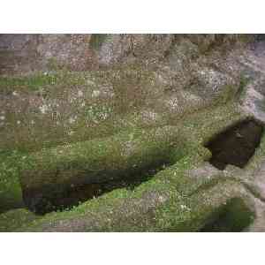 Click para ampliar. Pulsa en el nombre para ver la ficha. San Pedro de Rocas-Necrópolis