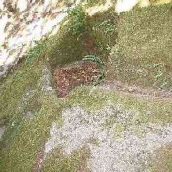 Click para ampliar. Pulsa en el nombre para ver la ficha. San Pedro de Rocas-Pila de agua y canal