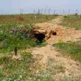 Click para ampliar. Sevilla - Dólmen Cueva del Vaquero (Túmulo).