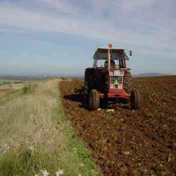 Click para ampliar. Pulsa en el nombre para ver la ficha. Tractor arando la Vía de la Plata