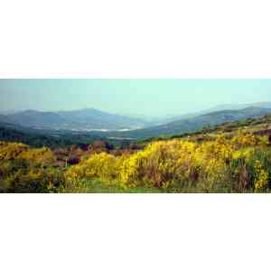 Click para ampliar. Pulsa en el nombre para ver la ficha. El Aravalle desde el Puerto de Tornavacas.