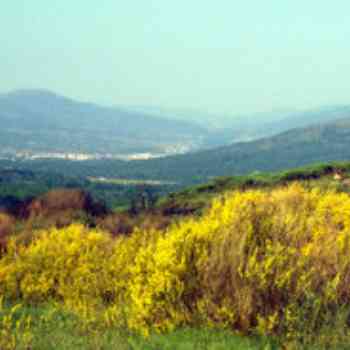 Click para ampliar. Pulsa en el nombre para ver la ficha. El Aravalle desde el Puerto de Tornavacas.