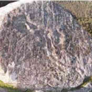 Click para ampliar. Pulsa en el nombre para ver la ficha. campo lameiro, pedra da serpe