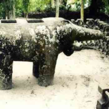 Click para ampliar. Pulsa en el nombre para ver la ficha. Vatosarilambo-verraco de Madagascar