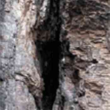 Click para ampliar. Pulsa en el nombre para ver la ficha. Buraco da Pala (Portugal)