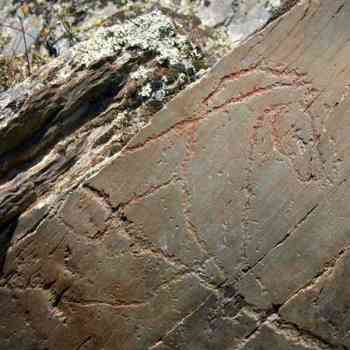 Click para ampliar. Pulsa en el nombre para ver la ficha. Siega Verde Panel 8-a