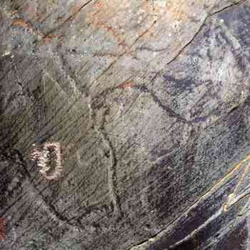 Click para ampliar. Pulsa en el nombre para ver la ficha. Siega Verde Panel 8-b