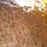 Click para ampliar. Cazoletas de la