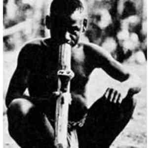 Click para ampliar. Pulsa en el nombre para ver la ficha. Pigmeo