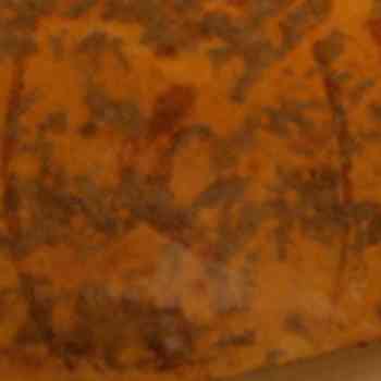 Click para ampliar. Pulsa en el nombre para ver la ficha. Serpiente.