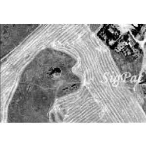 Click para ampliar. Pulsa en el nombre para ver la ficha. Castillo de Ciruela, I