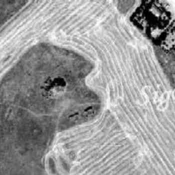 Click para ampliar. Pulsa en el nombre para ver la ficha. Castillo de Ciruela, I