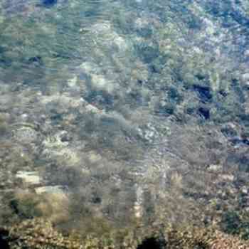 Click para ampliar. Pulsa en el nombre para ver la ficha. Surgencia termal o