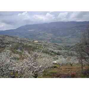 Click para ampliar. Pulsa en el nombre para ver la ficha. El Valle del Jerte