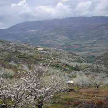 Click para ampliar. Pulsa en el nombre para ver la ficha. El Valle del Jerte