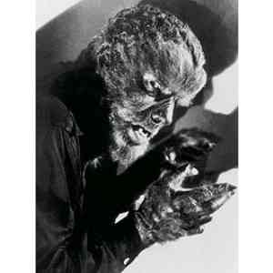 Click para ampliar. Pulsa en el nombre para ver la ficha. HOMBRE FURIOSO - MITAD IGNORANTE MITAD PEZ