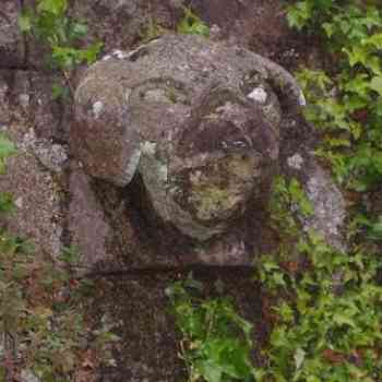 Click para ampliar. Pulsa en el nombre para ver la ficha. Cabeza Ponte do Porco 1