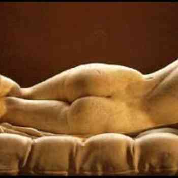 Click para ampliar. Pulsa en el nombre para ver la ficha. Hermafrodita dormido