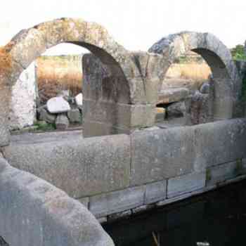 Click para ampliar. Pulsa en el nombre para ver la ficha. Fuente