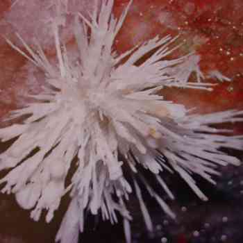 Click para ampliar. Pulsa en el nombre para ver la ficha. Rosas de Aragonito 1