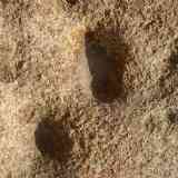 Click para ampliar. Cazoletas en granitos