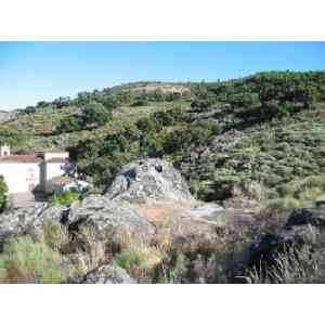 Click para ampliar. Pulsa en el nombre para ver la ficha. Palancar (Pedroso de Acim)