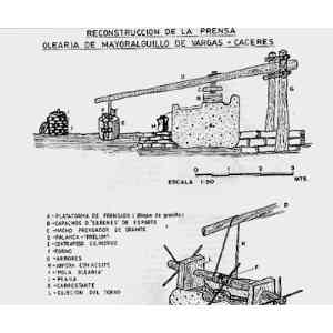 Click para ampliar. Pulsa en el nombre para ver la ficha. Prensa olearia tardorromana (esquema)