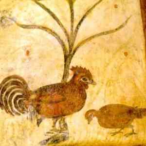 Click para ampliar. Pulsa en el nombre para ver la ficha. Gallina de Santa Eulalia de Bóveda . Lugo