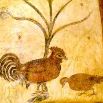 Click para ampliar. Pulsa en el nombre para ver la ficha. Gallina de Santa Eulalia de Bóveda . Lugo