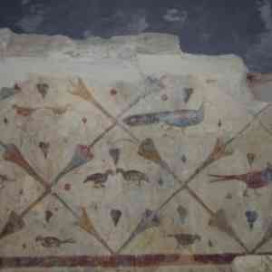 Click para ampliar. Pulsa en el nombre para ver la ficha. Aves de Santa Eulalia de Bóveda . Lugo