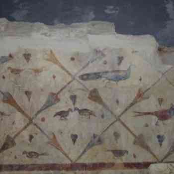 Click para ampliar. Pulsa en el nombre para ver la ficha. Aves de Santa Eulalia de Bóveda . Lugo