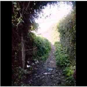 Click para ampliar. Pulsa en el nombre para ver la ficha. Anfiteatro de Lucus Augusti X