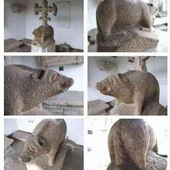 Click para ampliar. Pulsa en el nombre para ver la ficha. Xabarín de Montefaro: detalles